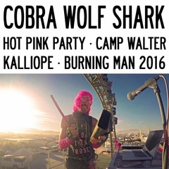 Camp Walter Hot Pink Party Burning Man 2016