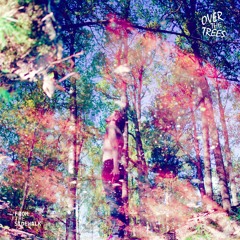 Over the Trees - From the Sidewalk