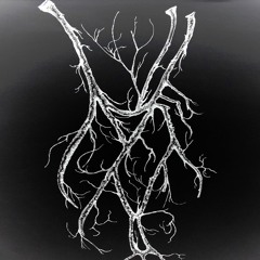 Veins (prod. by ArizonaLines)