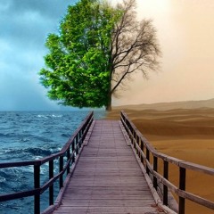 Any Sunday (Single 2017)