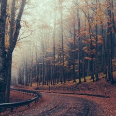 autumn