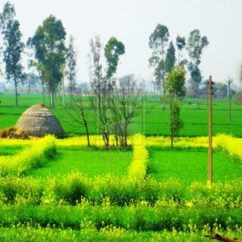 Apna Punjab- Gurdas Maan FT. ManiD [Sample]