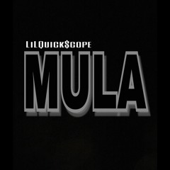 MULA freestyle ft. LiLYoungsta & LilMarcos