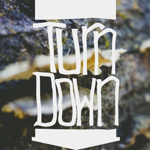 Turn Down Tuesday [12-27-16] : 'Fresh Vibes of the Week'