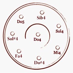 Ssc288 Micro + Wiz Khal