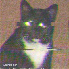 APHORISMO beattape