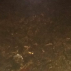 Drifting Through Time