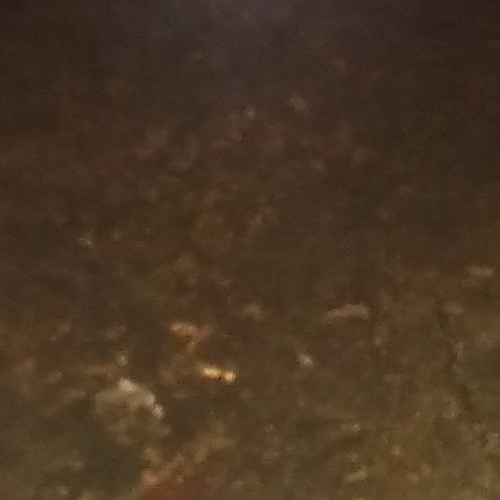 Drifting Through Time