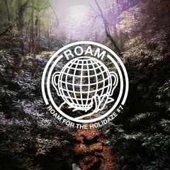 ROAM for the Holidaze 7