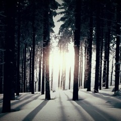 Winter 16 ft. Randae