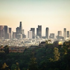 Diverse Opinion- Vapor