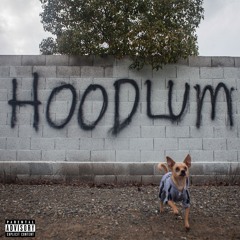 HOODLUM
