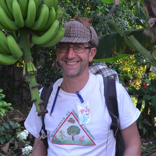 Stream Andy Goldring - Hacking society with permaculture without them ...