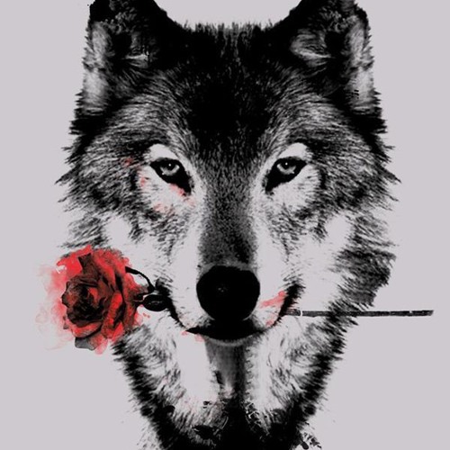 life can tear you down but will you let it?