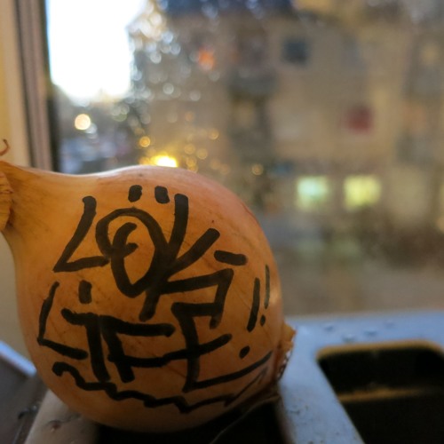 Kid Kroft Ene Franke - Området 13