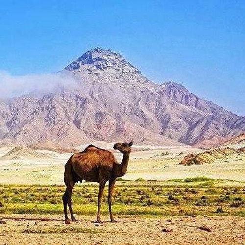 (babul Jan Best Brahvi Song).