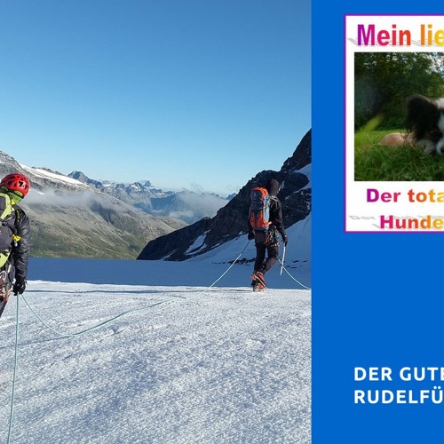 Mein lieber Hund Epi 42 Rudelführer by Mein lieber Hund Podcast