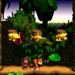 DK Island Swing(remix)