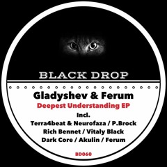 Gladyshev & Ferum - Deepest Understanding (P.Brock Remix) Preview