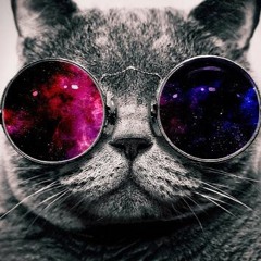 Dubstep / DnB / Glitch-Hop