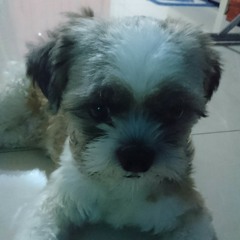 True Colors - Cindy Lauper (Cover)