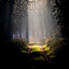 Searching For  My Path