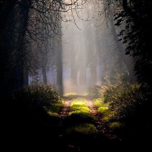 Searching For  My Path