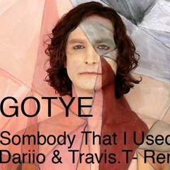 Gotye- Sombody That I Used To Know- Dariio & Travis.T Remix