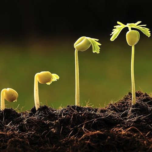 Art Mode - Basic Evolving (Original Mix) 128 BPM,  NO MASTER