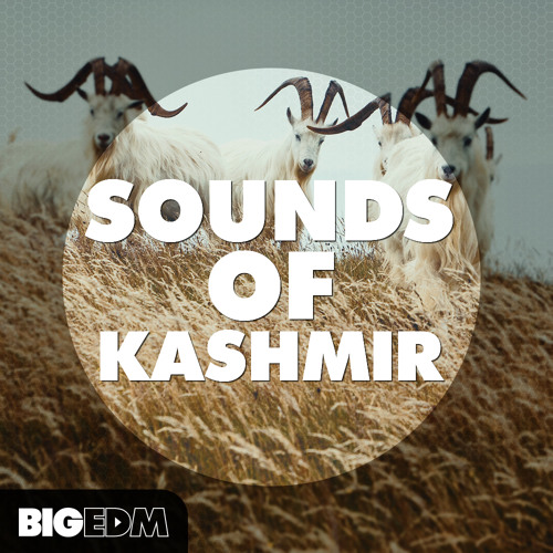 Sounds Of Kashmir [I'm the DJ Mobile App]