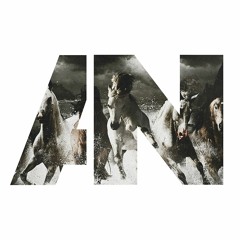 Awolnation - Run (Traumtherapie Remix)