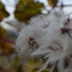 Marvin Gaye - Let's get it on (cervantes deep house remix) unmixed, unmastered