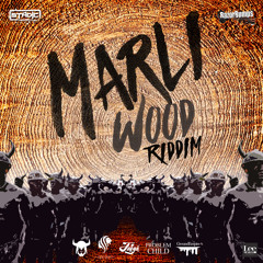 Bunji Garlin - Bruk Out (Marli Wood Riddim)[Stadic X Razor Bumps]