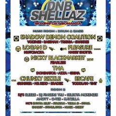 RECORDED LIVE @ DNB SHELLAZ ON BOXING DAY 2016 FEAT SELECTA MACKENZIE MC's SNYPPA RILEY, STIMULATOR