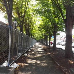 Don't Know Why - Norah Jones(Cover)