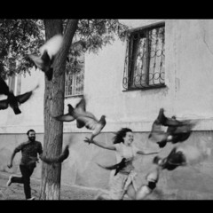 Şivan Perwer Min Beriya Te Kriye