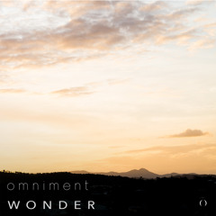 Wonder