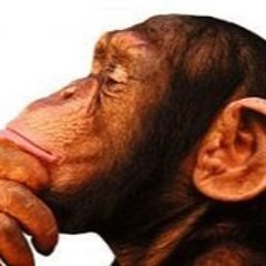 K.O.B. - Grandioise Thoughts (Preview)