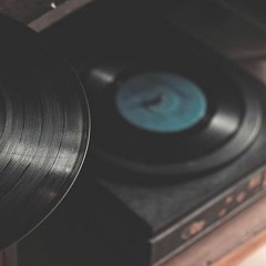 Funkylicious Disco Shakes