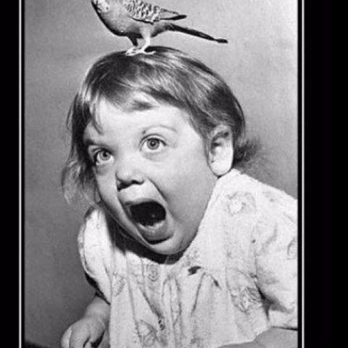 No Coast Music #32 - Imperfect Vibes