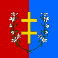 -Double Cross Freestyle