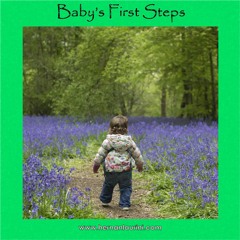 Baby's First Steps
