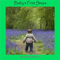 Baby's First Steps