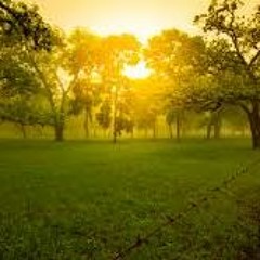 roland FA early morning chill trance