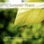 Artwork for In Her Presence- SummerPeace: Piano Improvisations for Sacred Space