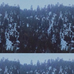 seven's day (sales cover)