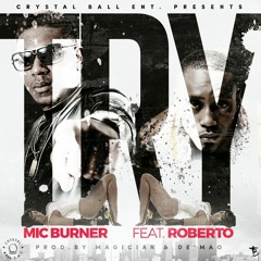 Try (feat. Roberto)- Mic Burner