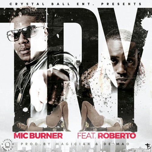 Try (feat. Roberto)- Mic Burner