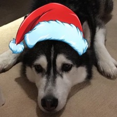 December 2016
