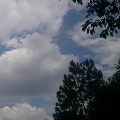 Yefta richael - Terapi